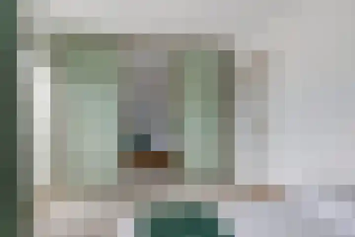 Baandervesting 90 Edam thumbnail 18