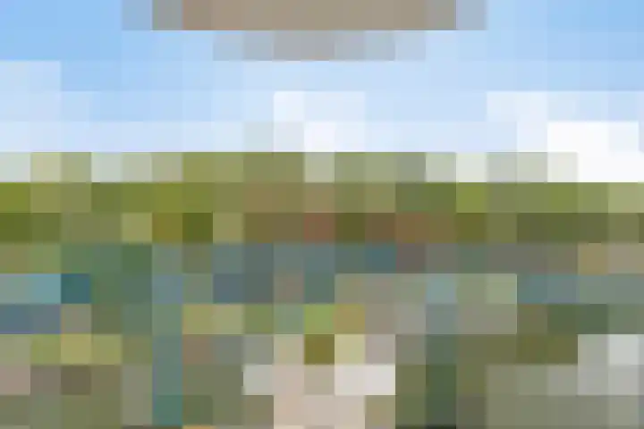 Baandervesting 90 Edam foto 2