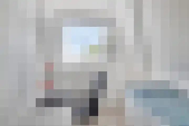 Baandervesting 90 Edam thumbnail 22