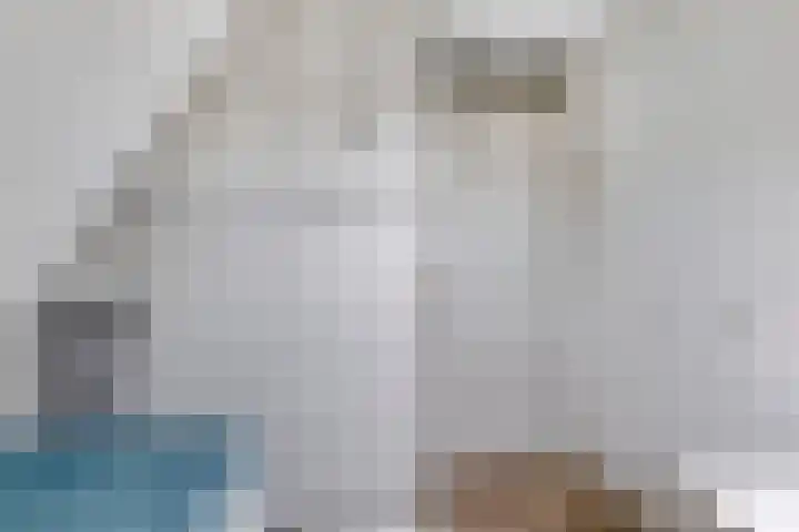 Baandervesting 90 Edam thumbnail 23