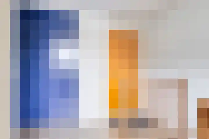 Baandervesting 90 Edam thumbnail 26