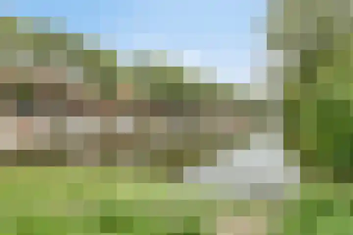 Baandervesting 90 Edam thumbnail 29