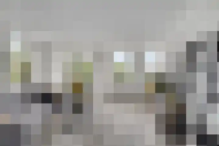 Baandervesting 90 Edam foto 3