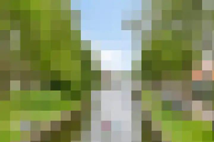 Baandervesting 90 Edam thumbnail 33