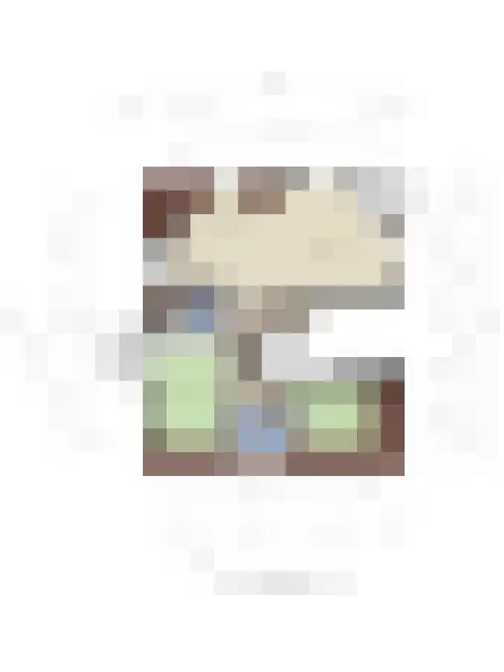 Baandervesting 90 Edam thumbnail 36