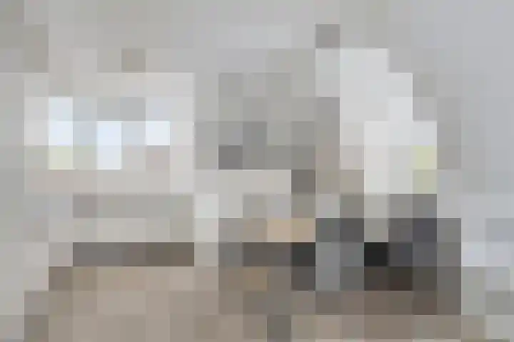 Baandervesting 90 Edam thumbnail 6