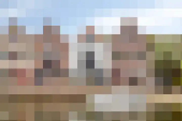 Baandervesting 94 Edam