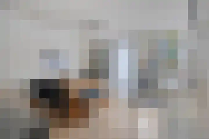 Baandervesting 94 Edam thumbnail 15