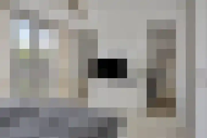 Baandervesting 94 Edam thumbnail 20