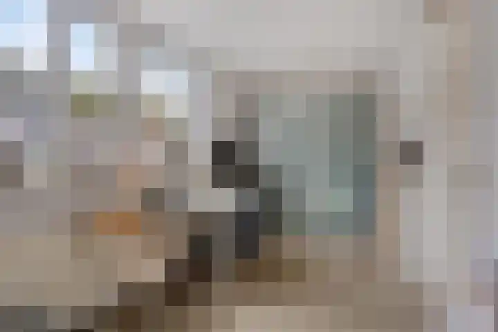 Baandervesting 94 Edam thumbnail 24