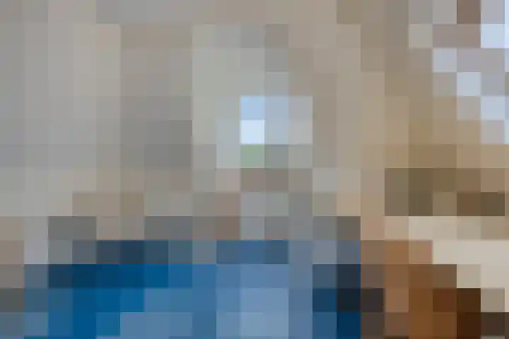 Baandervesting 94 Edam thumbnail 27
