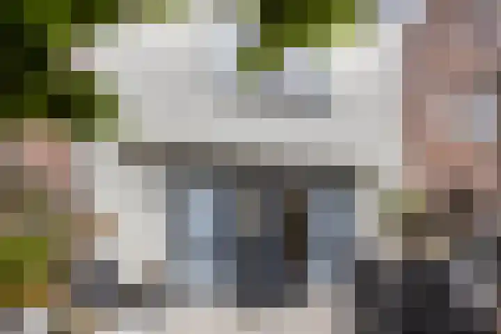 Baandervesting 94 Edam thumbnail 30