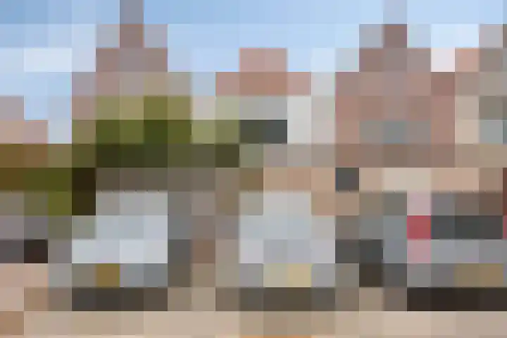 Baandervesting 94 Edam thumbnail 31