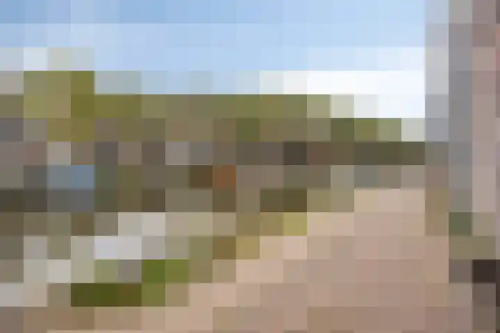 Baandervesting 94 Edam thumbnail 32