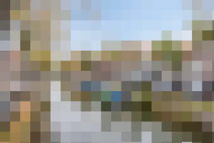 Baandervesting 94 Edam thumbnail 33