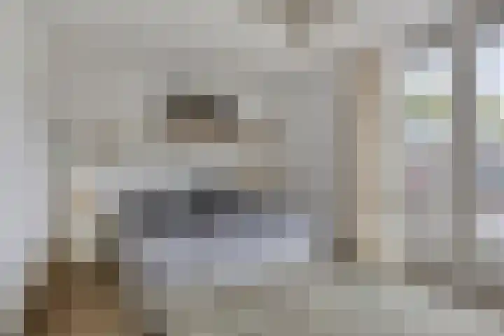Baandervesting 94 Edam thumbnail 4