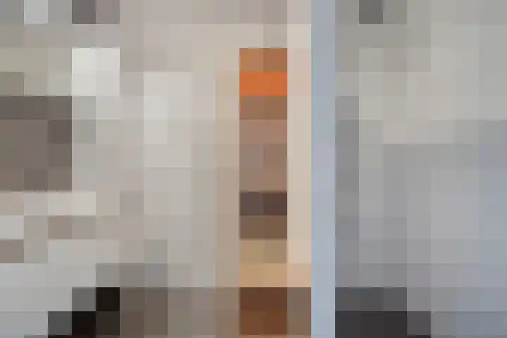 Baandervesting 94 Edam thumbnail 5