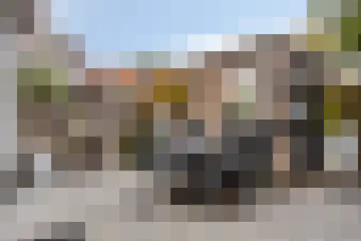 Baandervesting 94 Edam thumbnail 6