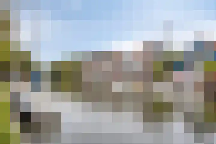 Baandervesting 94 Edam thumbnail 7