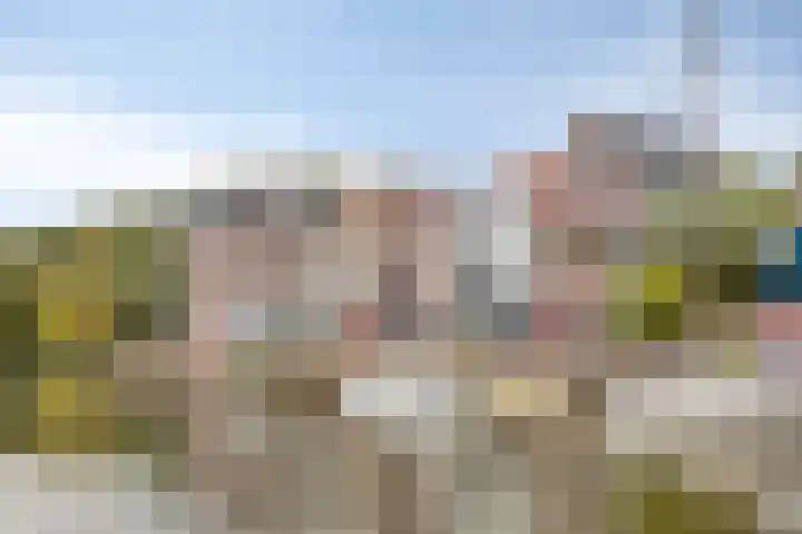 Baandervesting 94 Edam thumbnail 8