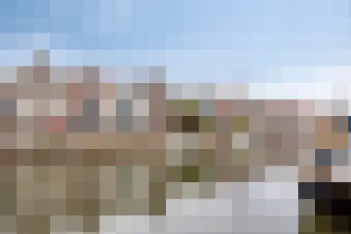 Baandervesting 94 Edam thumbnail 9