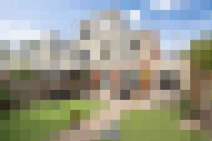 Baandervrouwenlaan 39 Boxtel thumbnail 46