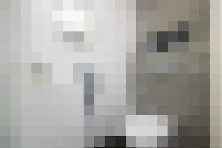 Baandervrouwenlaan 39 Boxtel thumbnail 5