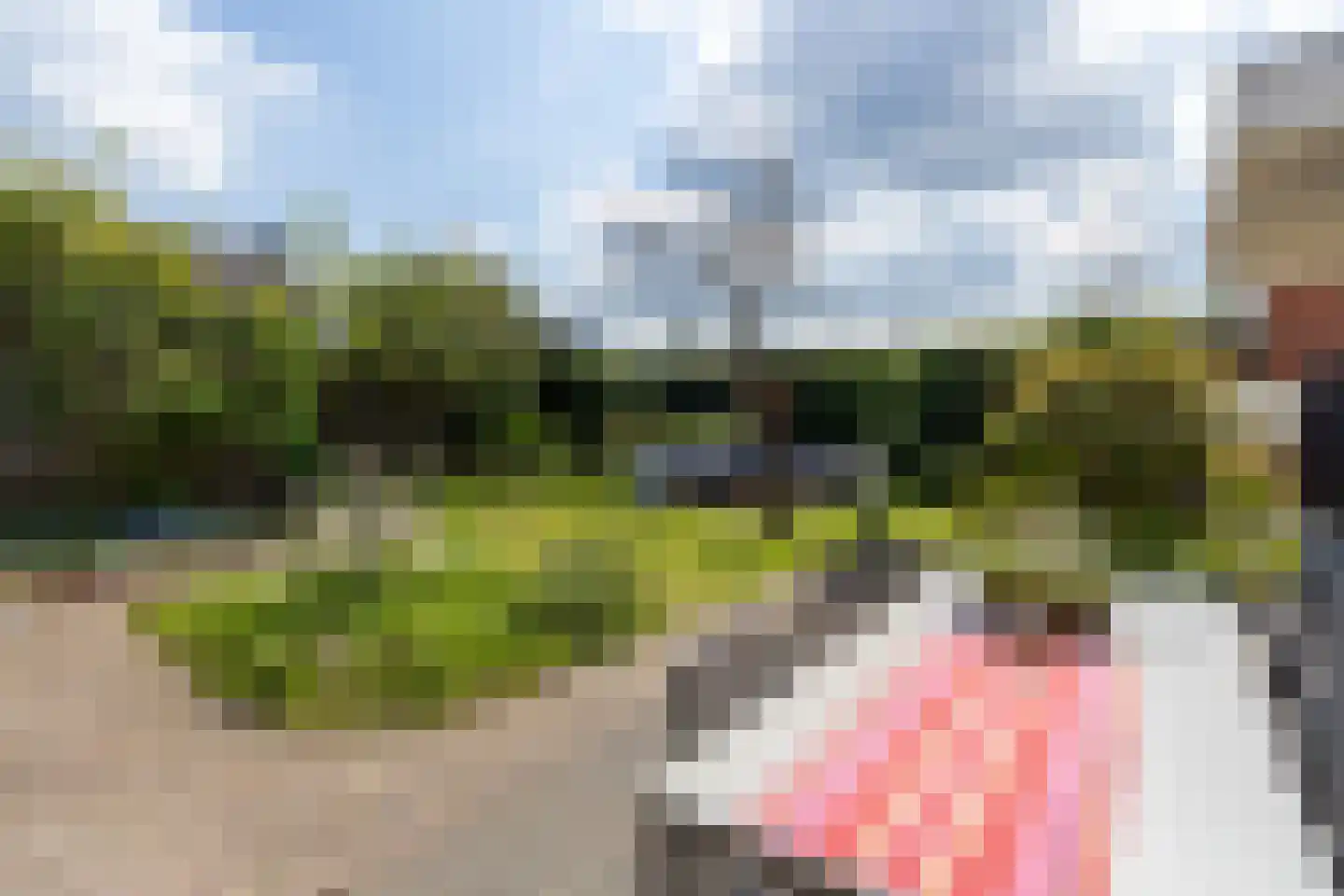 Baandervrouwenlaan 76 Boxtel thumbnail 36