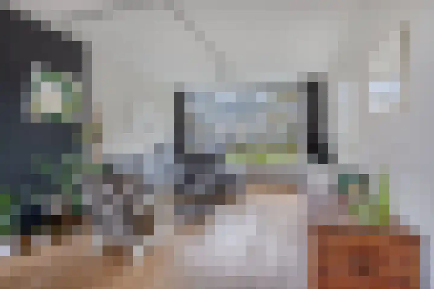 Baandervrouwenlaan 76 Boxtel thumbnail 8