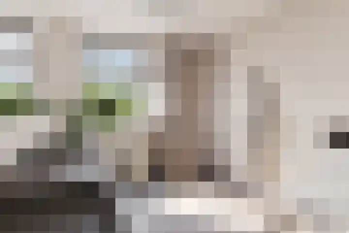 Baandervrouwenlaan 78 Boxtel thumbnail 20