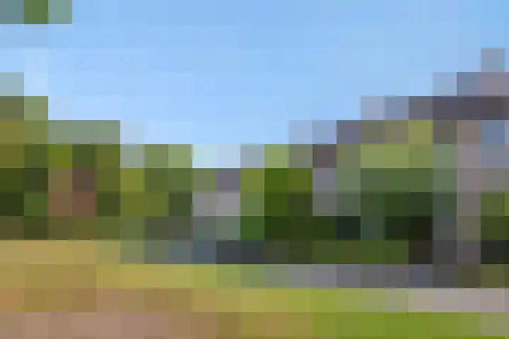 Baandervrouwenlaan 78 Boxtel thumbnail 33