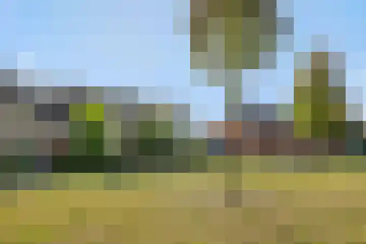 Baandervrouwenlaan 78 Boxtel thumbnail 34