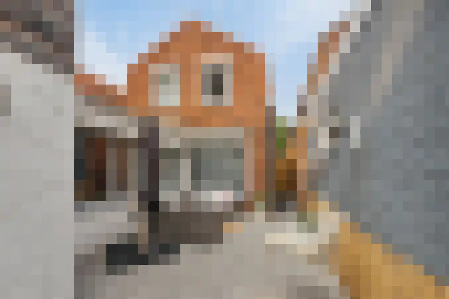 Baandijk 11 Terneuzen thumbnail 21