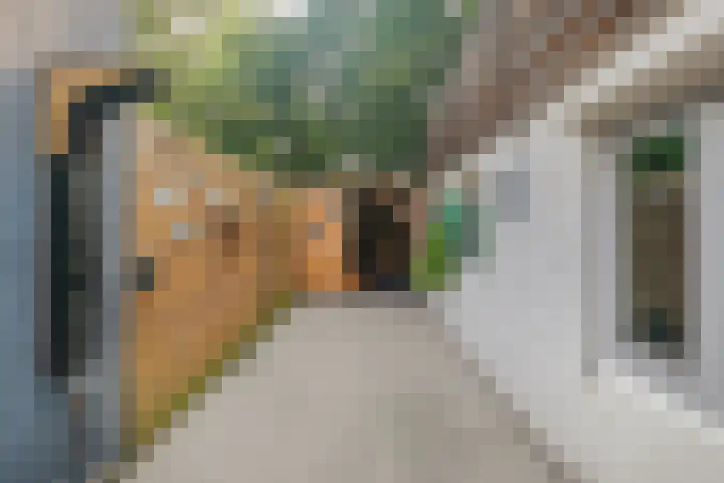 Baandijk 11 Terneuzen thumbnail 22