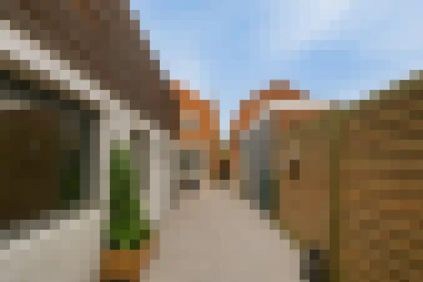 Baandijk 11 Terneuzen thumbnail 23