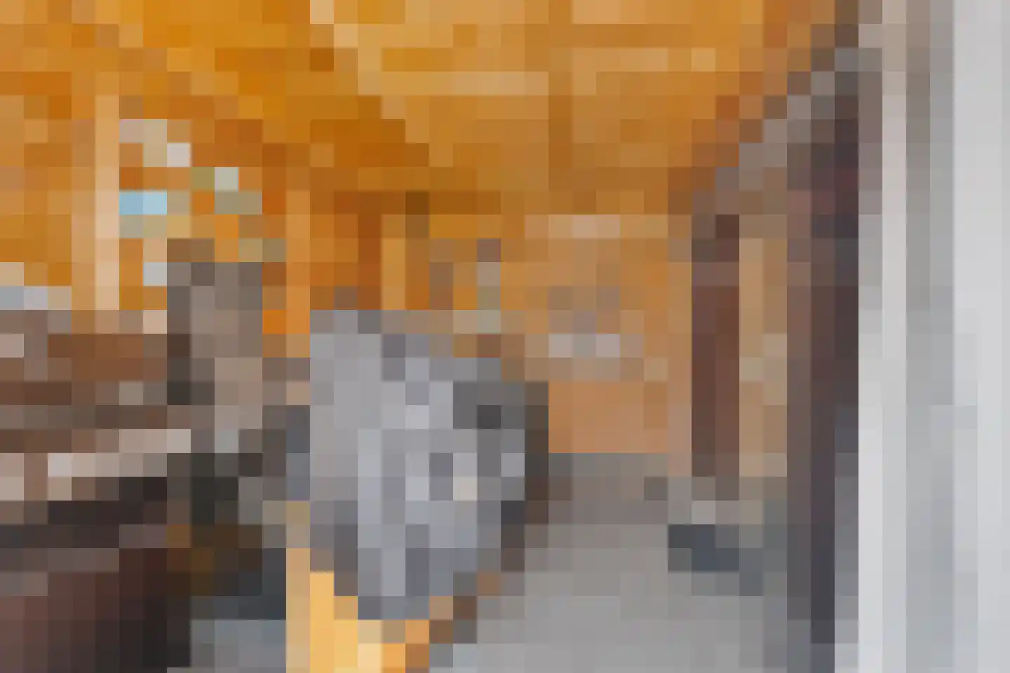 Baandijk 11 Terneuzen thumbnail 23