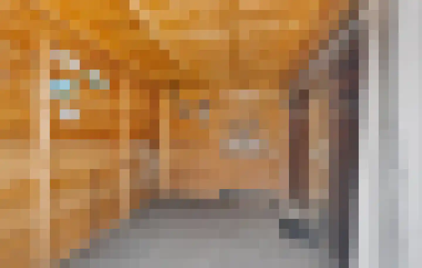 Baandijk 11 Terneuzen thumbnail 24