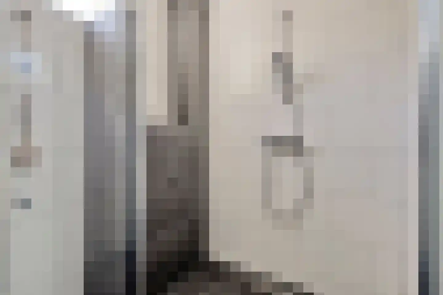 Baandijk 5 Driewegen thumbnail 11