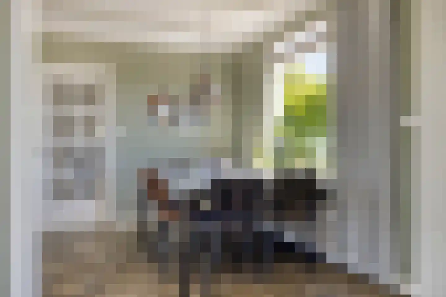 Baandijk 5 Driewegen thumbnail 14