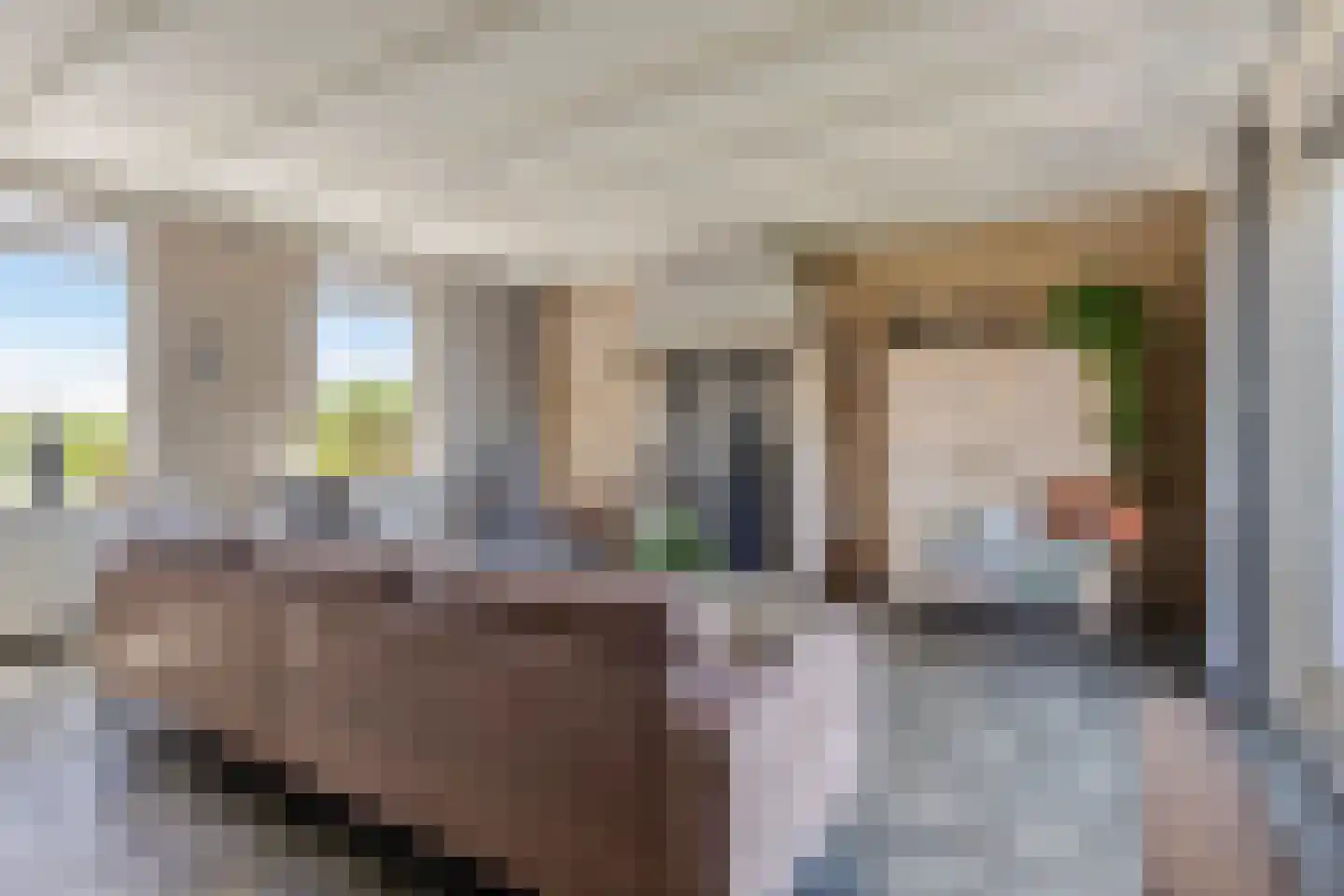 Baandijk 5 Driewegen thumbnail 19