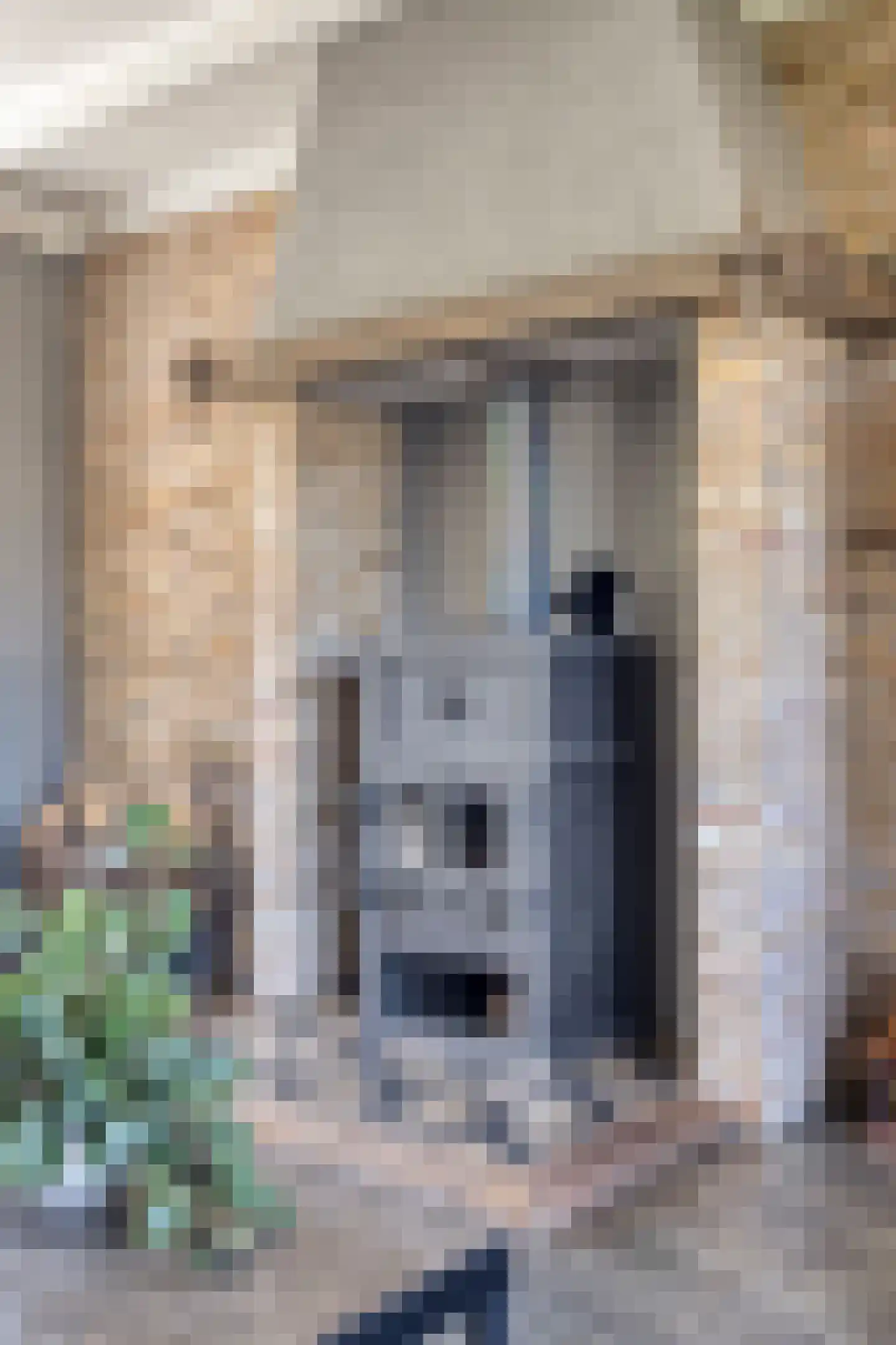 Baandijk 5 Driewegen thumbnail 20