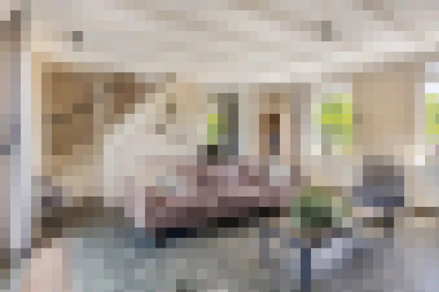 Baandijk 5 Driewegen thumbnail 21
