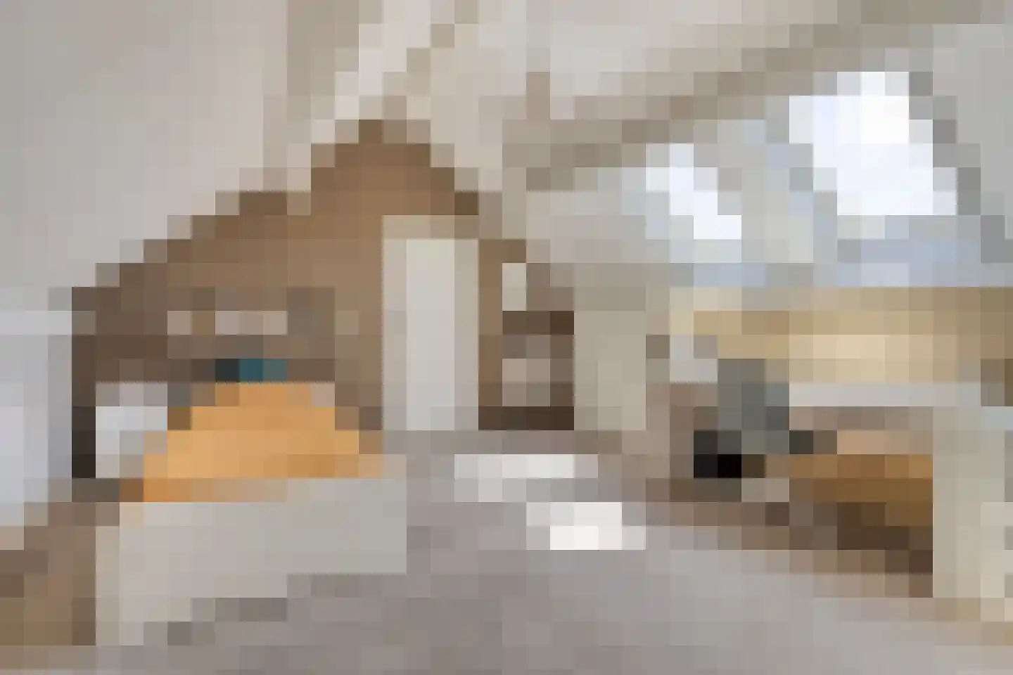 Baandijk 5 Driewegen thumbnail 23