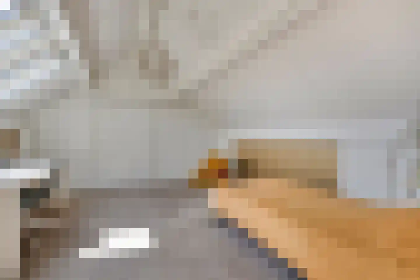 Baandijk 5 Driewegen thumbnail 24