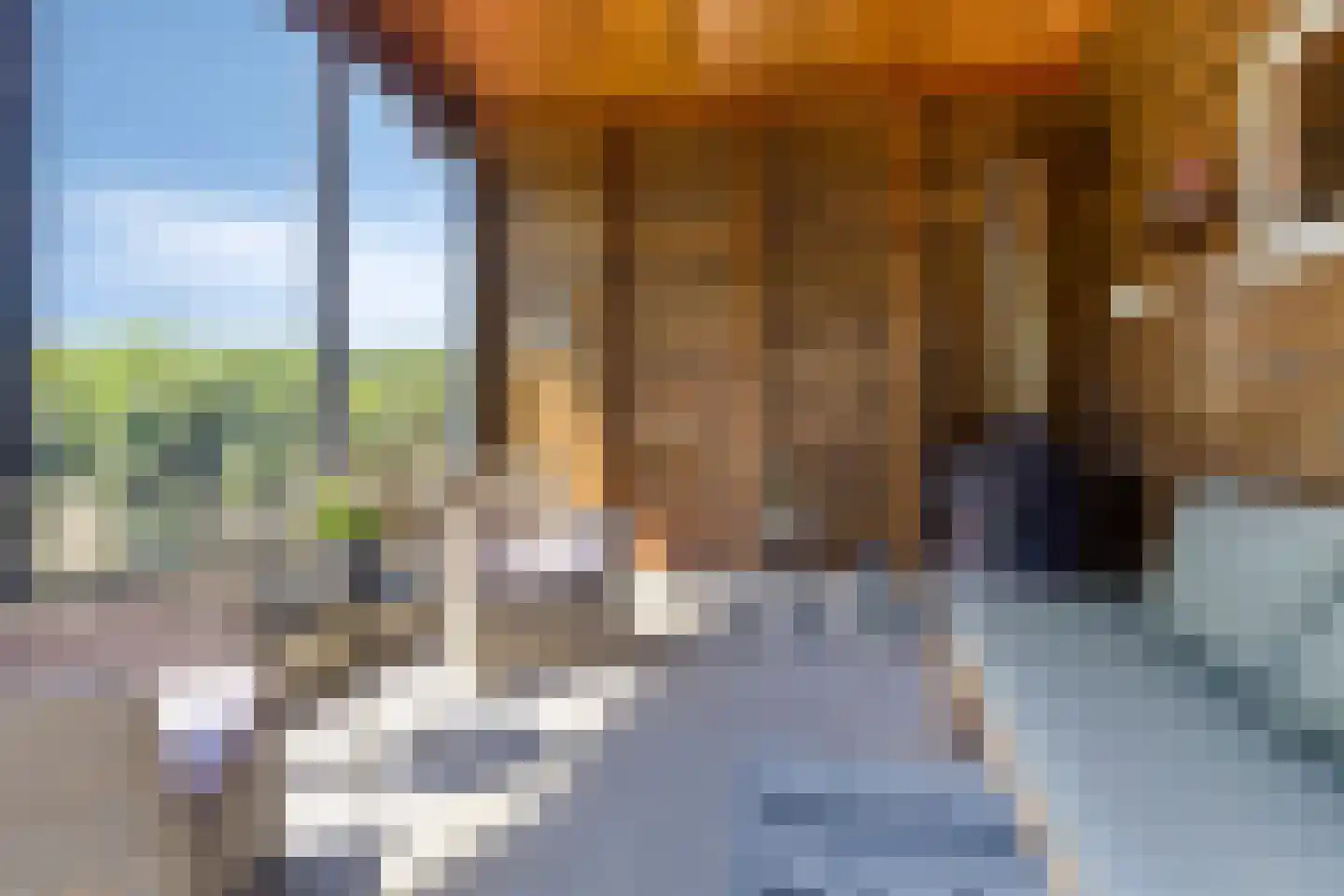 Baandijk 5 Driewegen thumbnail 35