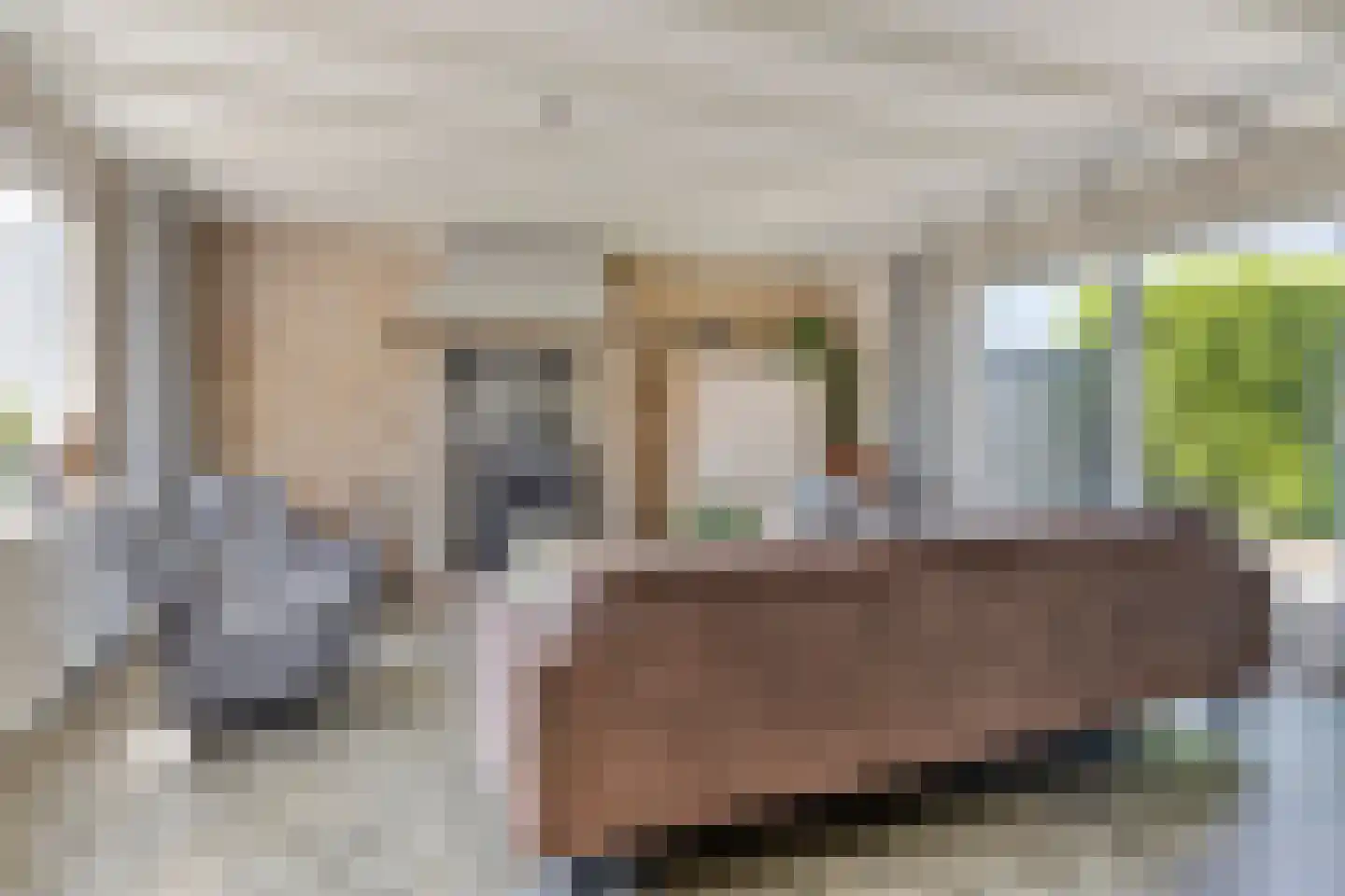 Baandijk 5 Driewegen thumbnail 5