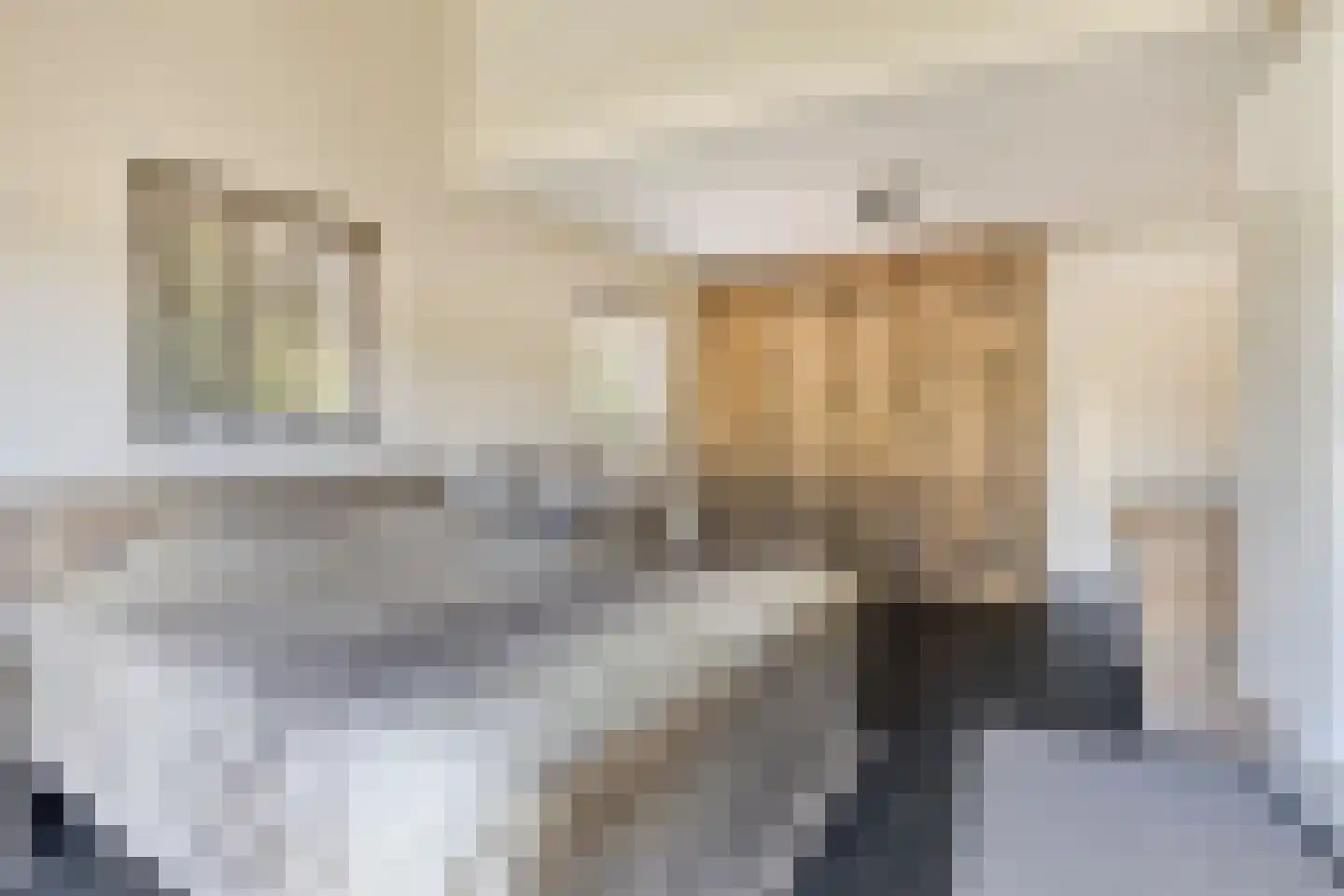 Baandijk 5 Driewegen thumbnail 9