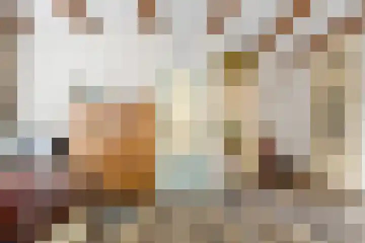 Baaneweer 10 Sliedrecht thumbnail 17