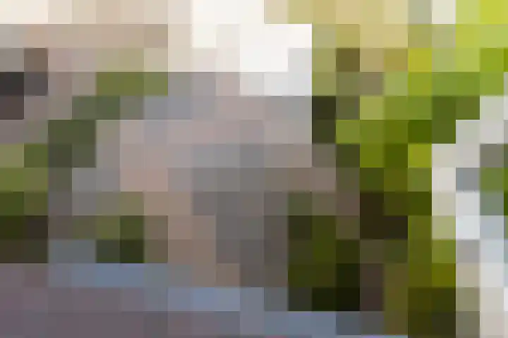 Baaneweer 10 Sliedrecht thumbnail 21