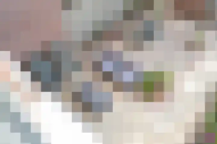 Baaneweer 10 Sliedrecht thumbnail 22